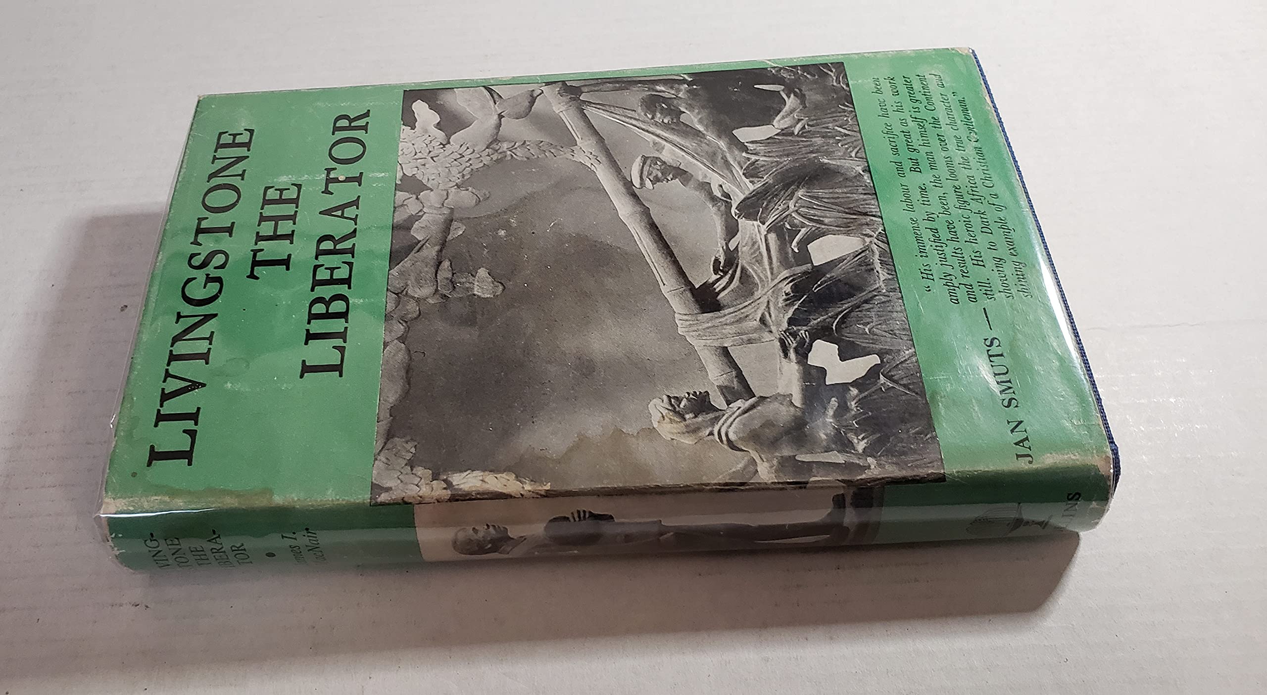 Livingstone the Liberator (Hardcover)