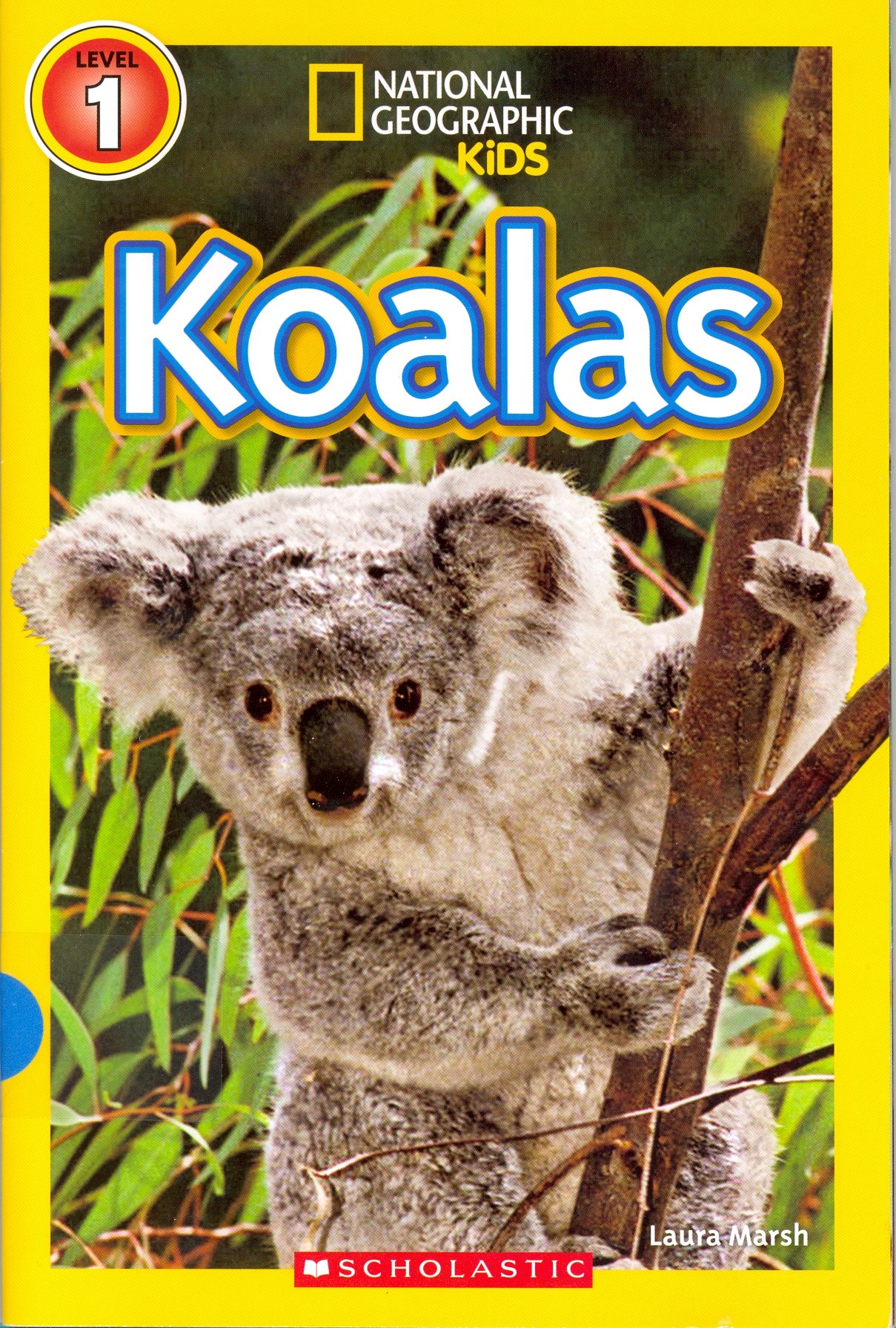 Koalas National Geographic Kids (Unknown Binding)