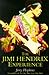 The Jimi Hendrix Experience: Through the Haze by Jerry Hopkins (1997-11-30)
