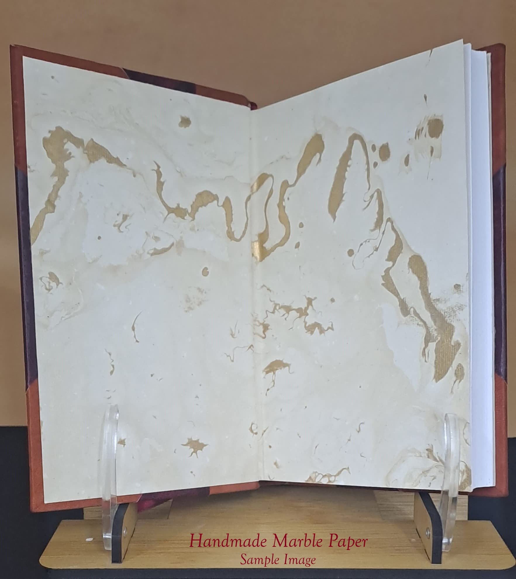 Research methods in ecology 1905 [Leather Bound] (Leather Bound)