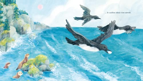 Le Caillou idéal (Paperback)