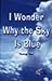 I Wonder Why the Sky Is Blue by Thelma Rea