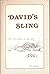 DAVID'S SLING