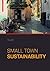 Small Town Sustainability: ...