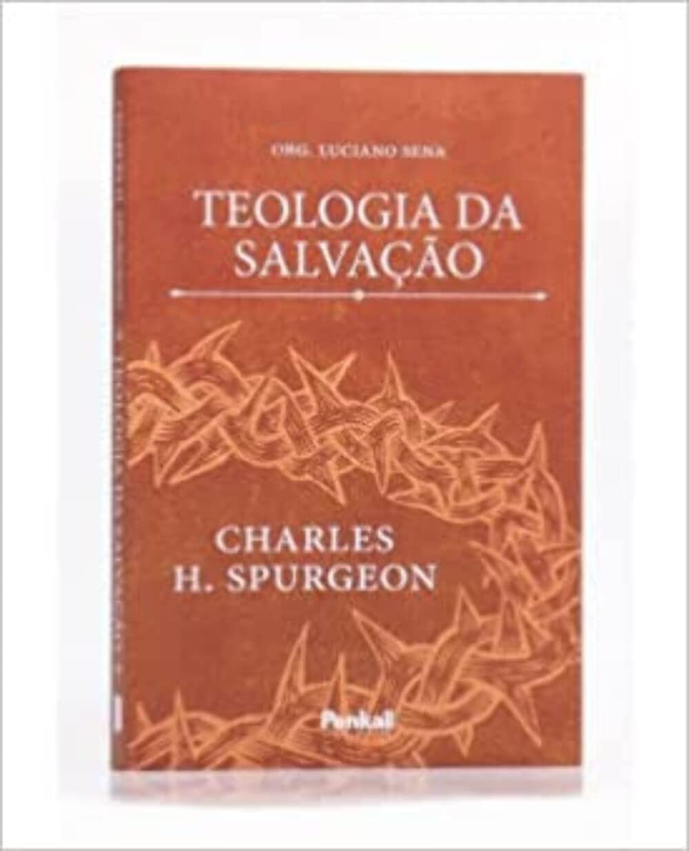 Teologia da Salvação (Paperback)
