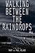 Walking Between The Raindrops by Mary L Roland (2015-01-25)