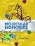 Molecular Biophysics