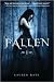 Fallen 1st (first) edition Text Only by Lauren Kate Fallen 1st (first) edition Text Only by Lauren Kate