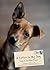 A Letter to My Dog by Robin Layton