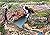 The Kimberley: Endemic Frog...