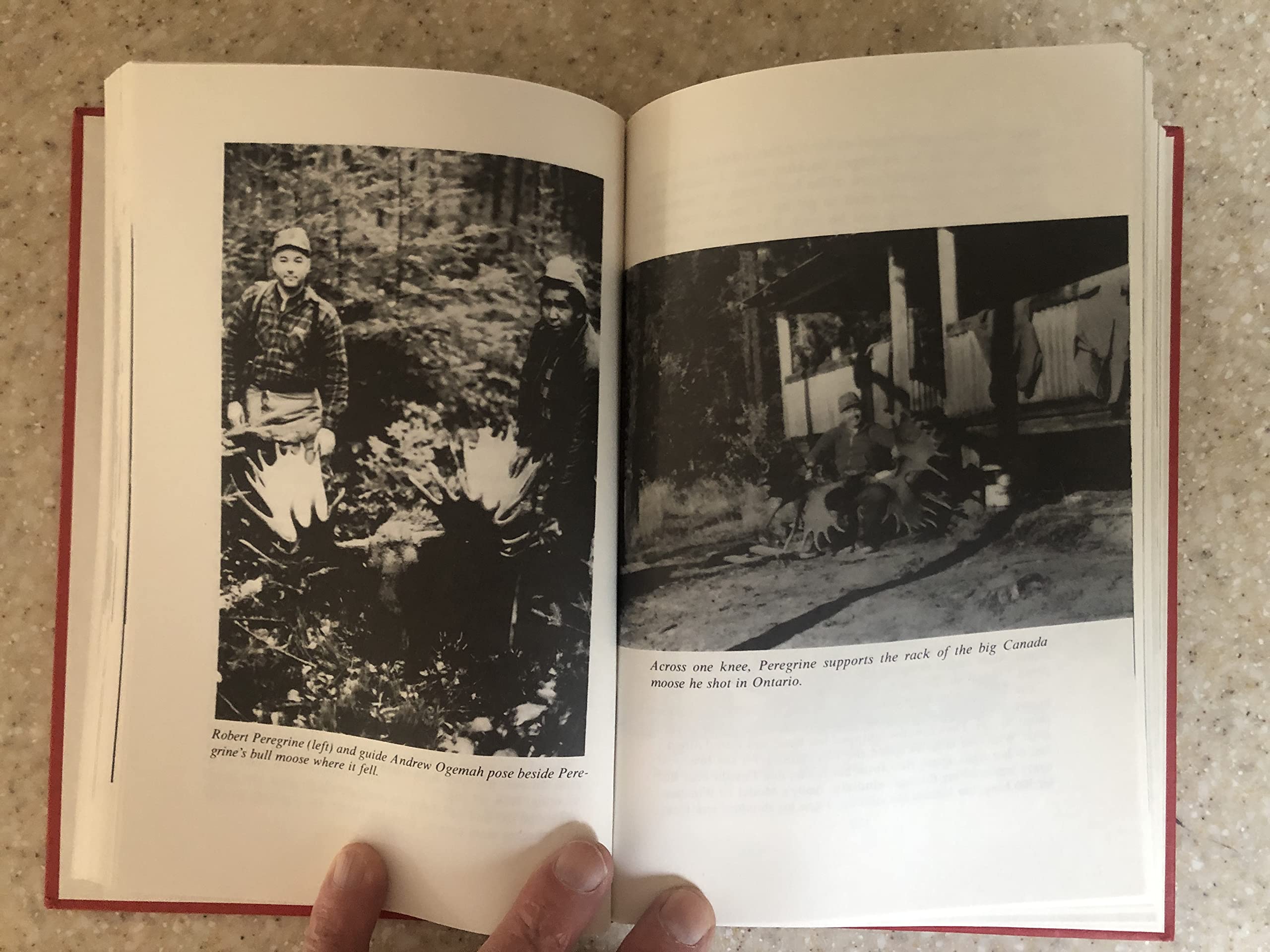 20 Great Trophy Hunts: Personal Accounts of Hunting North America's Top Big-Game Animals (Hardcover)