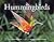 Hummingbirds by Ronald I. Orenstein (2014-09-11)