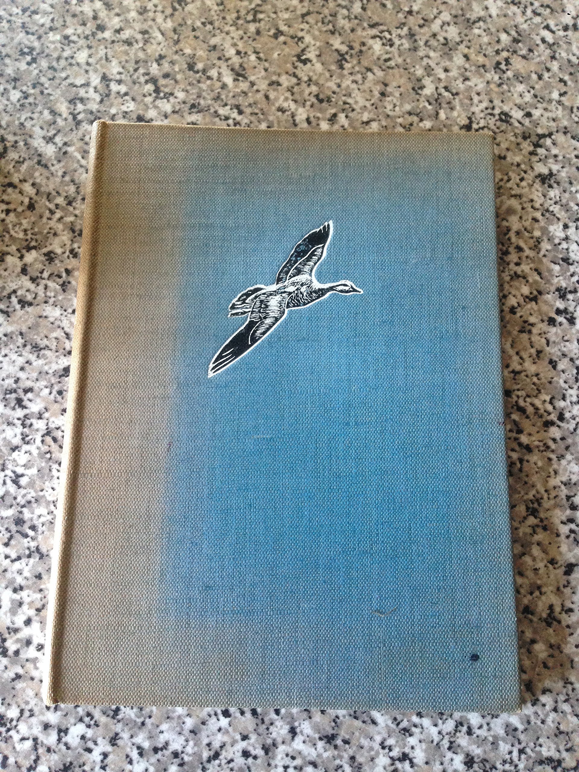 THE SNOW GOOSE - A story of Dunkirk