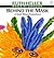 Behind the Mask : A Book about Prepositions