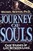 Journey of Souls 1st (first) edition Text Only by Michael   Newton