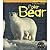 Polar Bear (Animals in Danger)