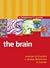 Beginner's guide: The Brain