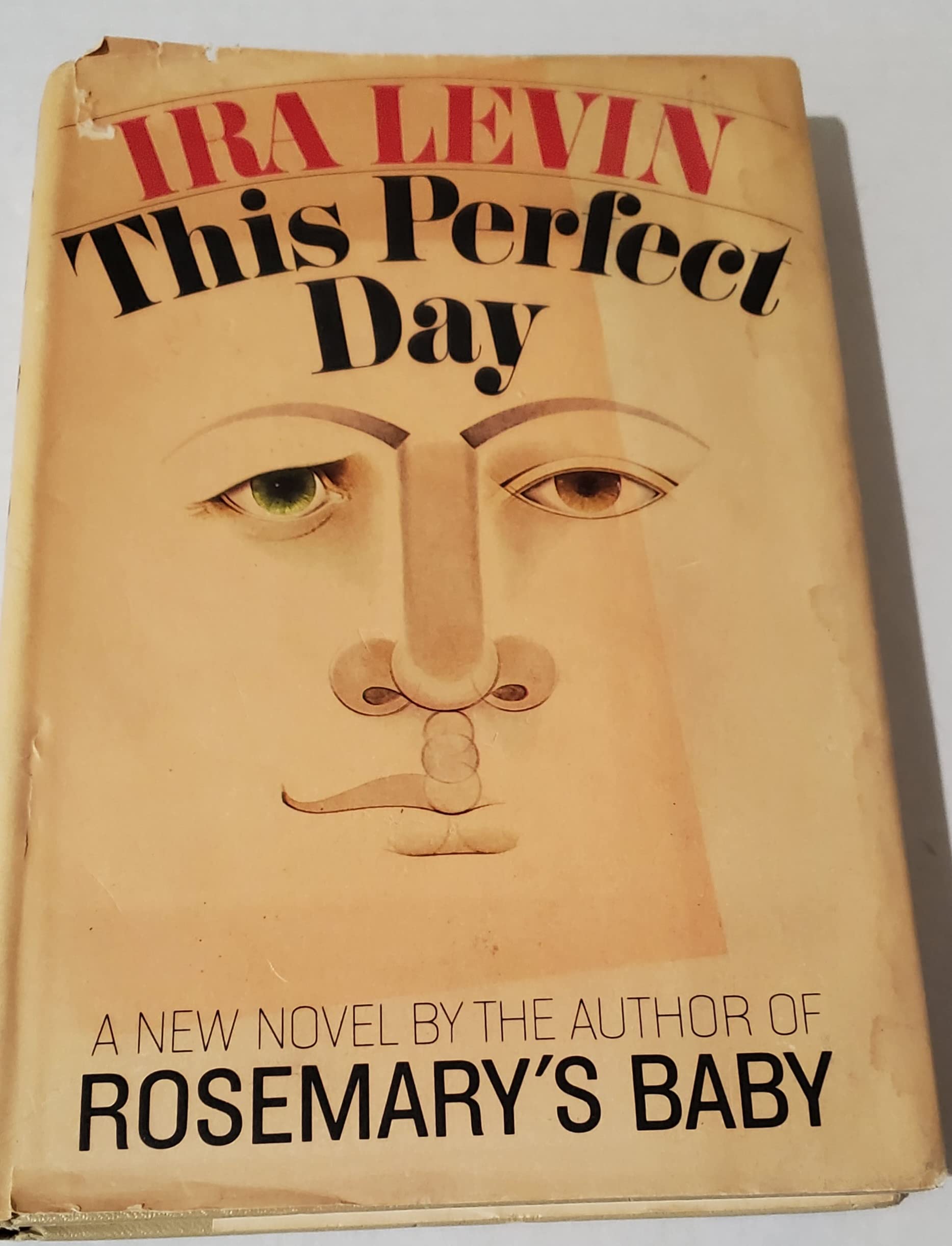 THIS PERFECT DAY