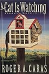 A Cat is Watching...