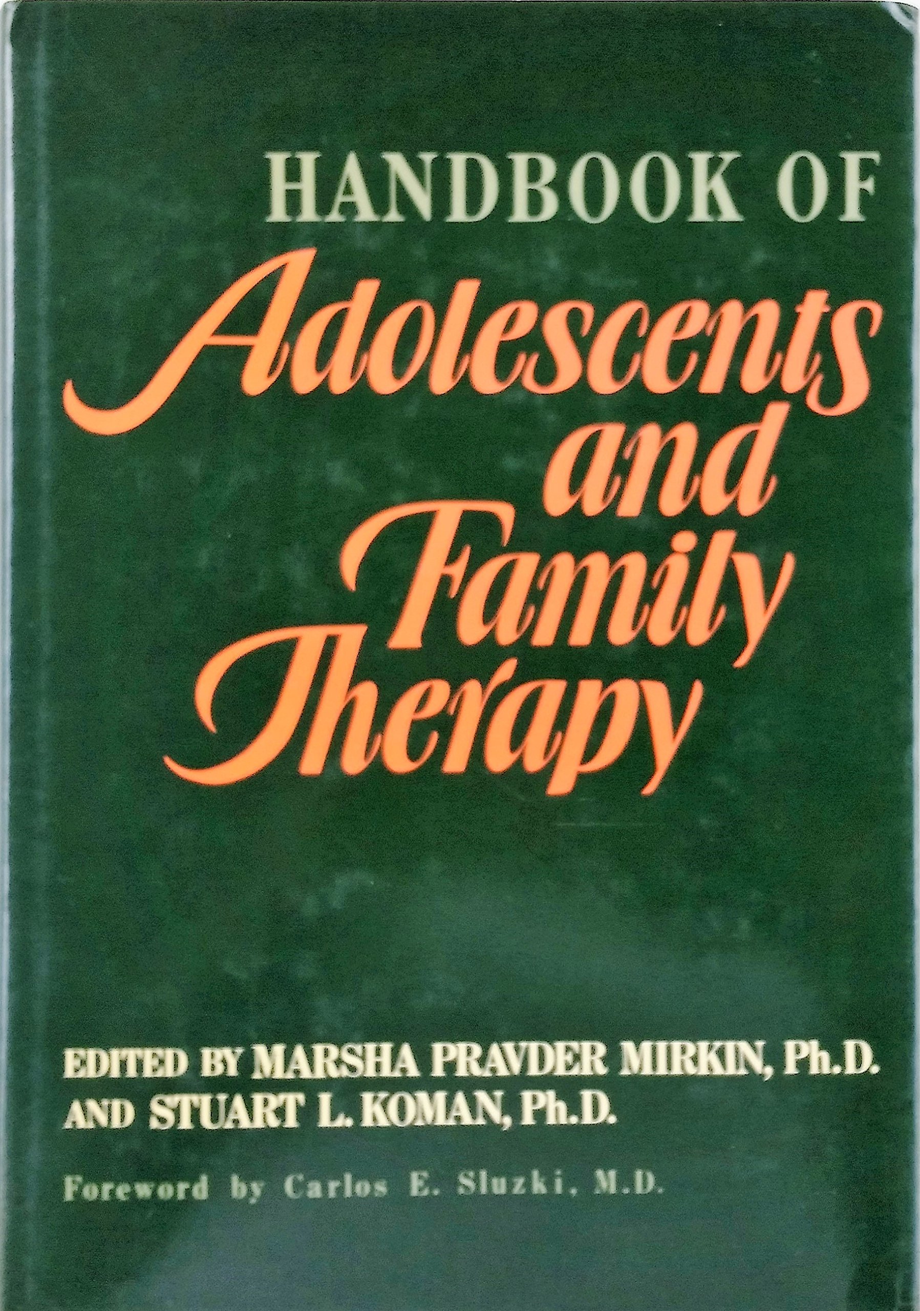 Handbook of adolescents and family therapy (Hardcover)
