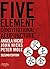 Five Element Constitutional Acupuncture, 2nd Edition by Hicks, Angela - Hicks, John - Mole, Peter [Hardcover (2011)]