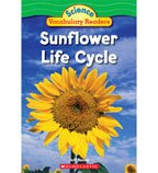 Sunflower Life Cycle (Paperback)