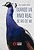 CUANDO UN PAVO REAL SE RIO DE MI by Pablo Navarro Simarro