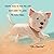 Oh Charlie! A Day at the Beach by Mandy Williams