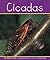 Cicadas (Insects)