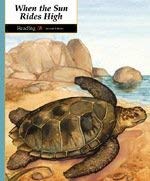 Reading 2b 2nd Edition Updated (Paperback)