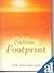 Sublime Footprint by Krishna V.R. Iyer (2007-10-30)