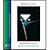 Fundamentals of Applied Electromagnetics, 2004 Media Edition - Textbook Only