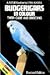Budgerigars in colour by Abram Rutgers