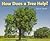How Does a Tree Help? (Rigby Literacy by Design Readers, Grade K)