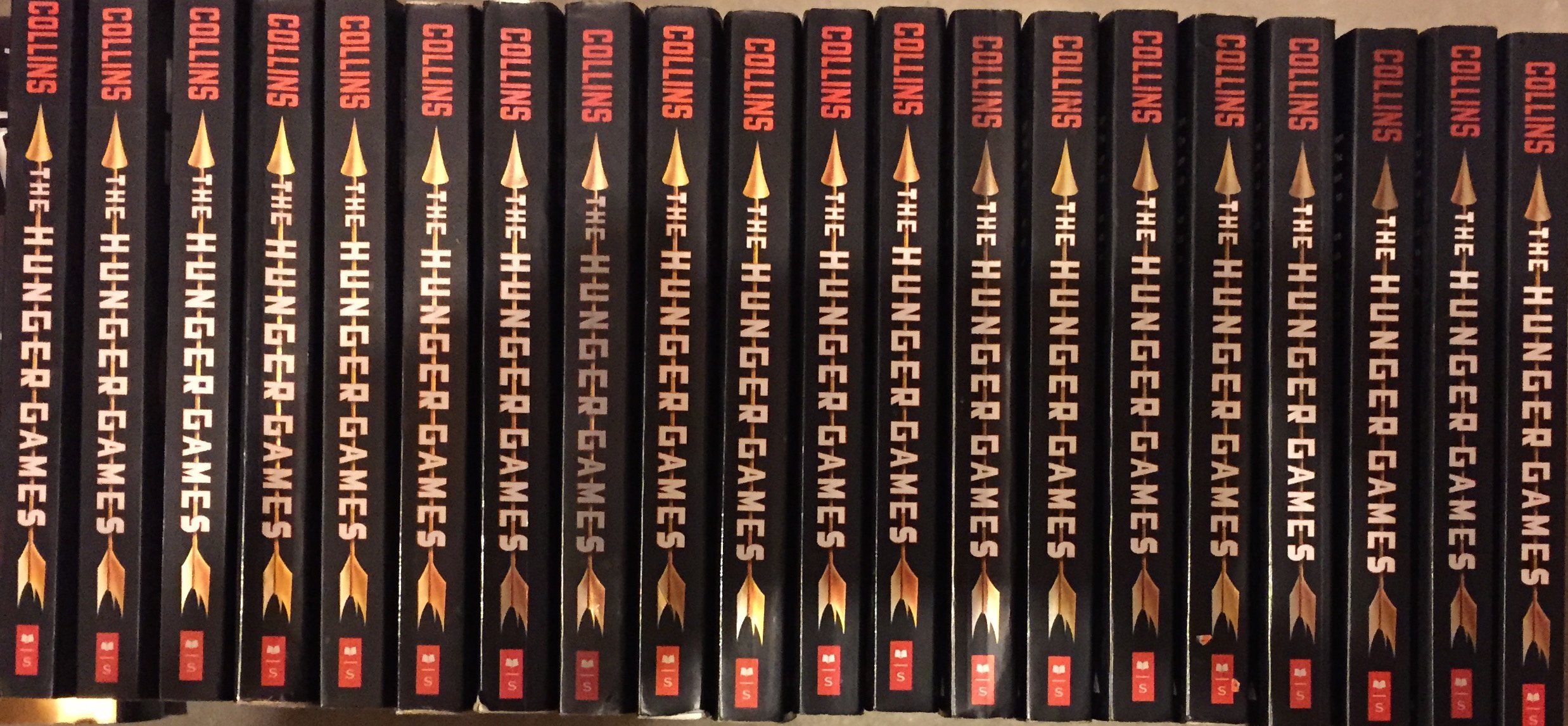 Hunger Games Classroom Set of 20