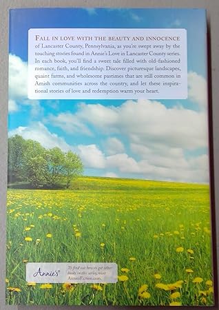 Beyond Price - Love in Lancaster County - Annie's