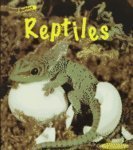 Reptiles (Animal Babies)