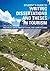 Student's Guide to Writing Dissertations and Theses in Tourism Studies and Related Disciplines by Tim Coles (12-Dec-2012) Paperback