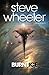 Burnt Ice (A Fury of Aces) by Steve Wheeler (2014-07-03)