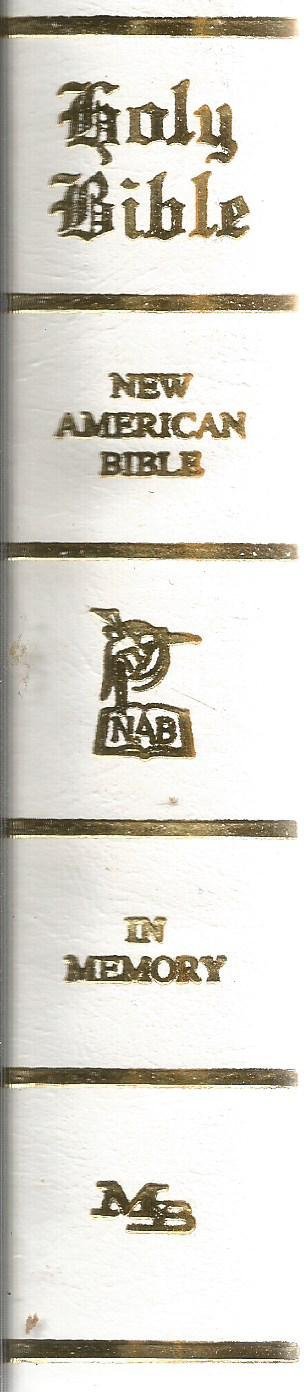 The New American Bible--Illustrated Holy Bible