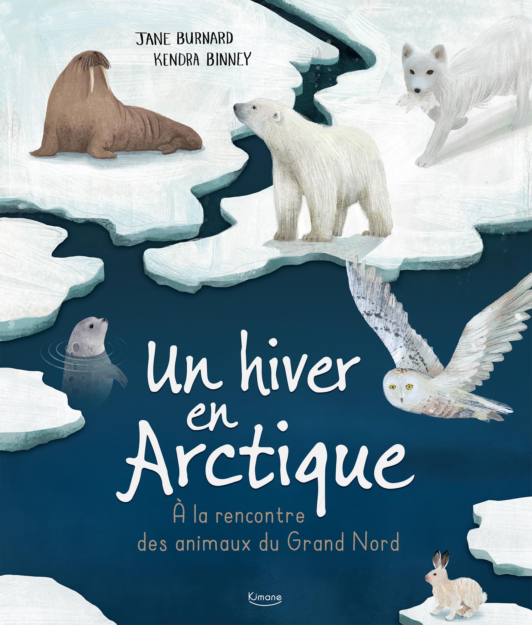 Un hiver en arctique (Paperback)