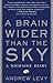 A Brain Wider Than the Sky: A Migraine Diary by Andrew Levy(1991-07-01)