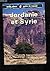 Guide de voyage - jordanie ...