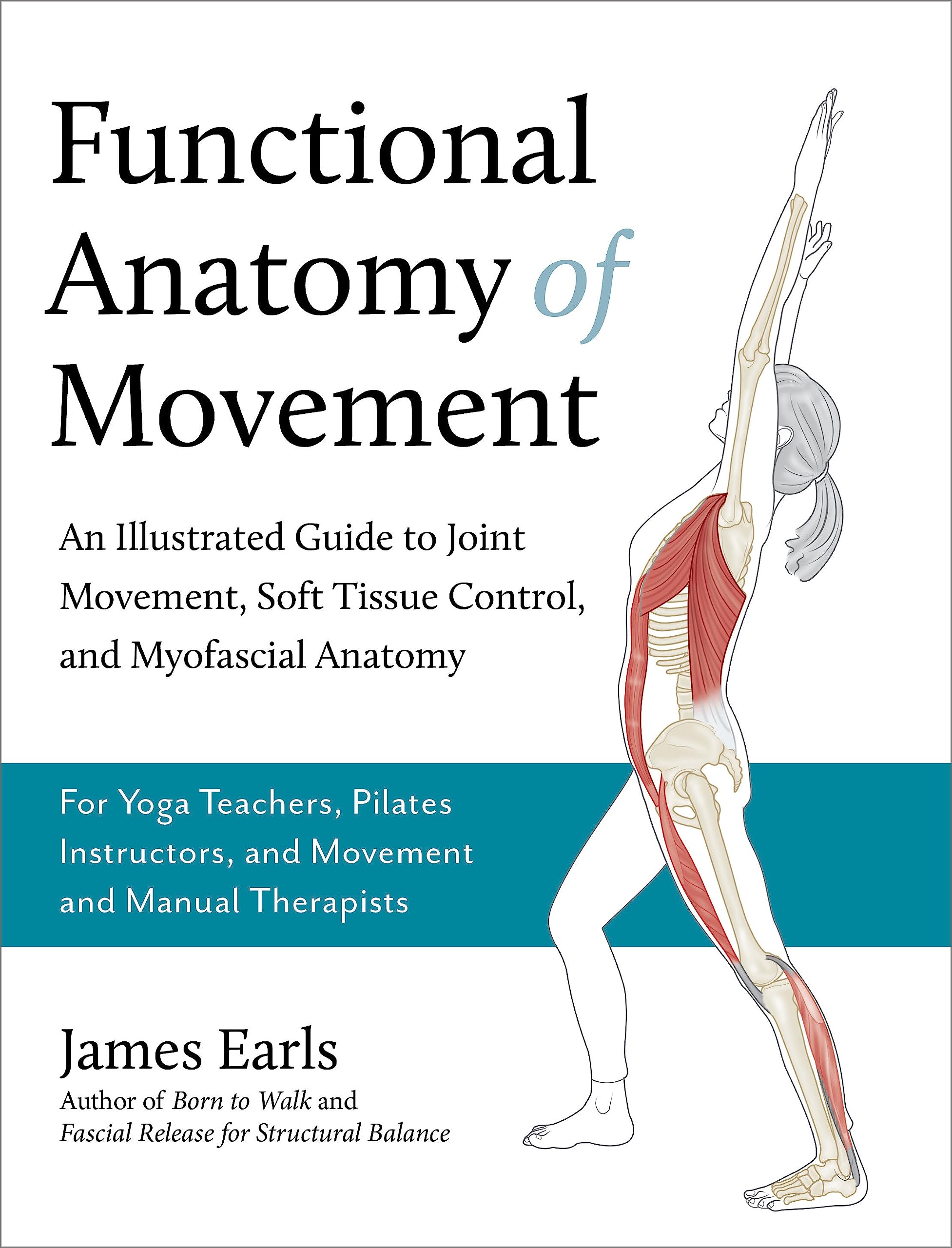 Functional Anatomy of Movement: An Illustrated Guide to Joint Movement, Soft Tissue Control, and Myofascial Anatomy-- For yoga teachers, pilates instructors & movement & manual therapists (Paperback)