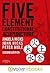 Five Element Constitutional Acupuncture by Angela Hicks (2010-09-24)