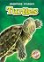 Turtles (Blastoff! Readers: Backyard Wildlife) (Blastoff! Readers: Backyard Wildlife: Level 1 (Library)) by Emily Green (2010-08-08)
