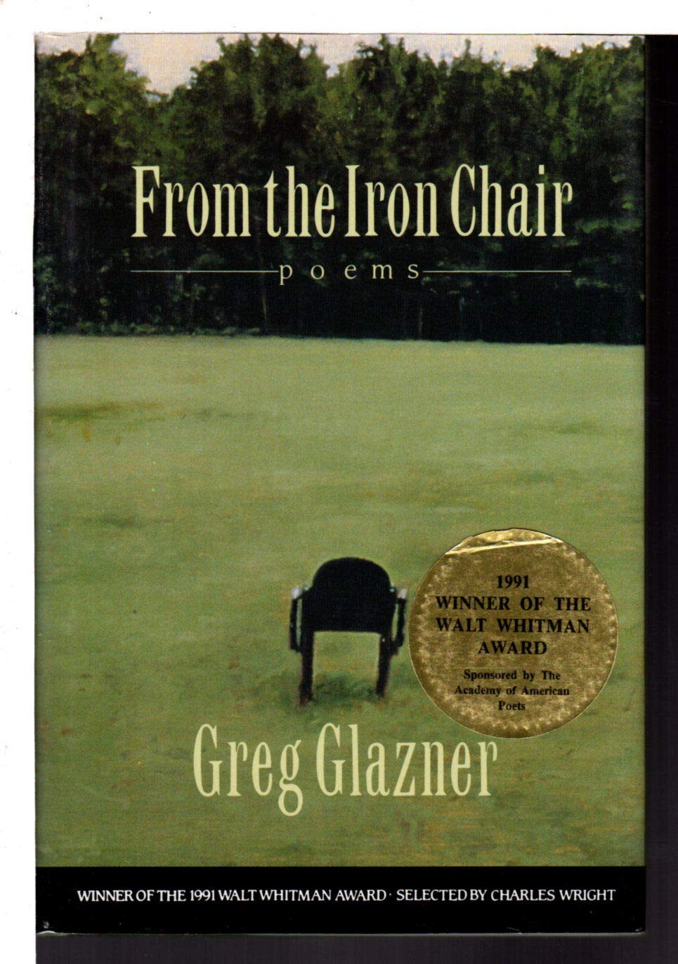 From the Iron Chair: Poems (Hardcover)