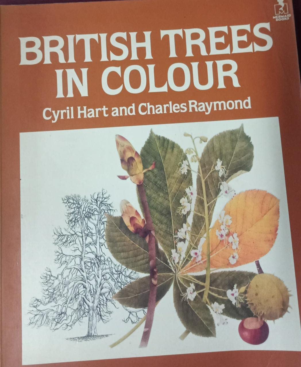 British Trees in Colour (Paperback)