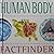 Human Body