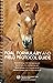 FOAL FORMULARY AND FIELD PR...